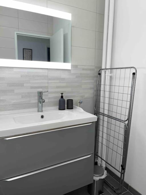 Appartement Renove - Vandoeuvre Les Nancy ภายนอก รูปภาพ